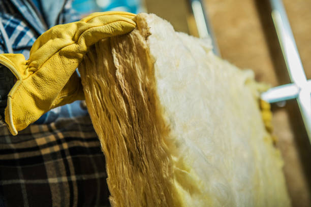 Best Geographic-Specific Insulation Services in Dubuque, IA