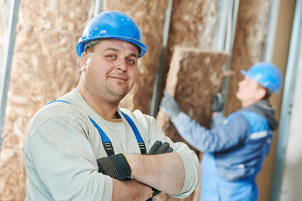 Best Eco-Friendly Insulation in Dubuque, IA